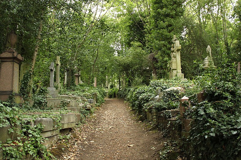 The overgrown headstones of High Gate Cemertery