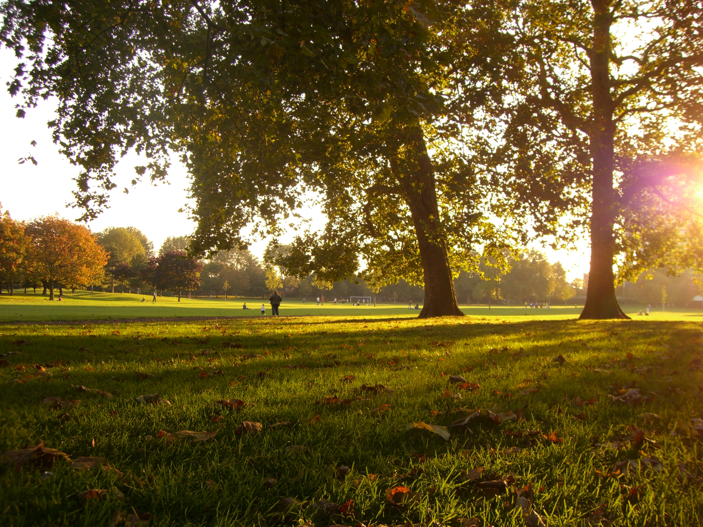 A glorious day in Southwark Park