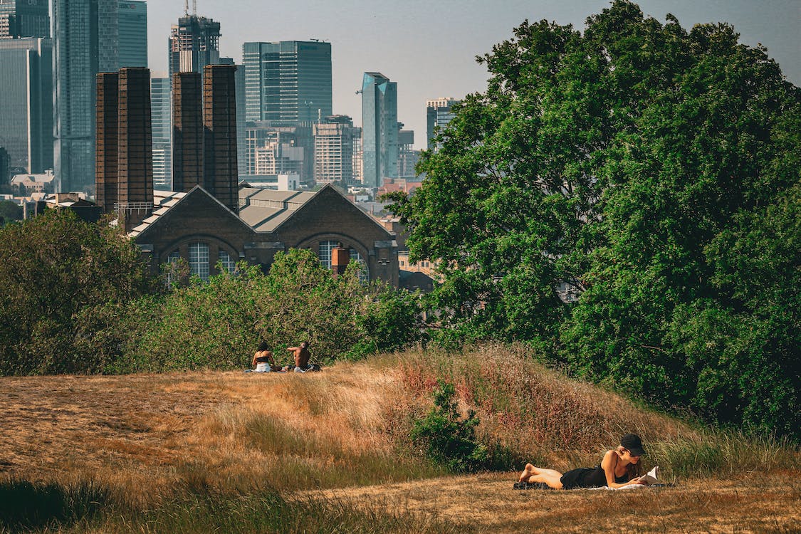 greenwich park in summer